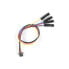 Фото #1 товара Flexible Qwiic Female Cable with 4-pin plug - 15cm - SparkFun PRT-17261
