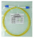 Фото #6 товара BlueOptics SFP8181BU0.5MK - 0.5 m - G.657.A1 - LC - LC