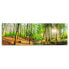 Фото #1 товара Wandbild Sonniger Wald