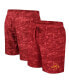 Фото #1 товара Men's Cardinal Iowa State Cyclones Ozark Swim Shorts