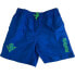 Фото #2 товара REAL BETIS Junior Swimming Shorts