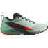 Фото #2 товара SALOMON Sense Ride 5 trail running shoes