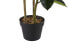 Фото #3 товара Kunstpflanze FICUS ELASTICA