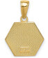 ფოტო #3 პროდუქტის Medical Info Hexagon Charm Pendant in 14k Gold