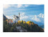 Puzzle Neuschwanstein, 1500 Teile