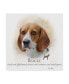 Фото #1 товара Howard Robinson 'Beagle' Canvas Art - 14" x 14" x 2"