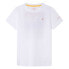 ფოტო #1 პროდუქტის HACKETT Sunrise Skate short sleeve T-shirt