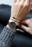 Фото #2 товара Наручные часы Emily Westwood Dragonfly EBP-3218.