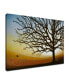 'Single Leaf' Tree Canvas Wall Art, 20x30"