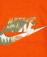 Фото #3 товара Футболка Nike овая Snowscape Futura