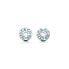 Luxury silver round earrings 19710424 + original packaging