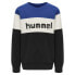 Фото #1 товара HUMMEL Claes sweatshirt