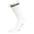 BIORACER Deluxe Winter socks