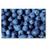 Фото #1 товара Leinwandbild Blueberries