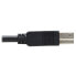Фото #8 товара Tripp U328F-20M USB 3.2 Gen 1 Plenum-Rated Fiber Active Optical Cable (AOC) - 5 Gbps - (A to B M/M) - Black - 20 m - 20 m - USB A - USB B - USB 3.2 Gen 1 (3.1 Gen 1) - 5000 Mbit/s - Black