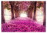 Фото #1 товара Selbstklebende Fototapete Pink path