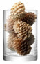 Фото #3 товара Аксессуары для цветов LSA Колонна Ваза/Свечной стакан, прозрачный