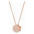 Ladies' Necklace Folli Follie 3N17T021RWC 40 cm