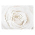 Фото #1 товара Bild Pretty White Rose II