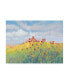 Фото #1 товара Tim OToole Summer Breeze Meadow II Canvas Art - 19.5" x 26"