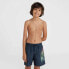 Фото #3 товара O'Neill Circle Surfer 14" Swim Shorts Jr 92800613201