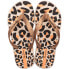 ფოტო #1 პროდუქტის IPANEMA Temas XI Flip Flops