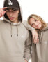 Dickies summerdale hoodie in sand