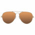 OCEAN SUNGLASSES Bonila Polarized Sunglasses