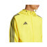 Фото #5 товара Adidas Tiro 24