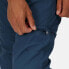 Фото #7 товара REGATTA Leesville II convertible pants