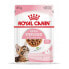Cat food Royal Canin Sterilised Gravy Chicken 12 x 85 g