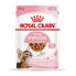 Фото #2 товара Корм влажный для кошек Royal Canin Sterilised Gravy с курицей 12 x 85 г