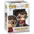 FUNKO POP Harry Potter Harry With The Stone