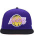 ფოტო #3 პროდუქტის Men's Purple Los Angeles Lakers Hardwood Classics Coast to Coast Fitted Hat