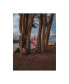 Фото #1 товара Bruce Gett Between the Trees Canvas Art - 15.5" x 21"