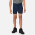 REGATTA Highton Shorts