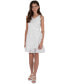 ფოტო #1 პროდუქტის Big Girls V-Neck Floral-Burnout Chiffon Ruffle Dress