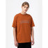 DICKIES Union Springs short sleeve T-shirt