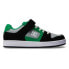 DC Shoes Manteca 4 V ADBS300378 trainers