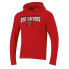 NCAA Texas Tech Red Raiders Men's Heather University Hoodie