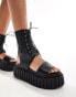 Фото #1 товара Lamoda Black Hole Lace up Sandal in Black