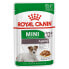 ფოტო #1 პროდუქტის ROYAL CANIN Mini Ageing 12+ 85g Wet Dog Food 12 Units