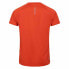 ფოტო #4 პროდუქტის DARE2B Tech short sleeve T-shirt