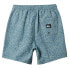 QUIKSILVER Taxer Shorts