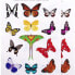 APLI Butterflies School Stickers 5 Units