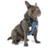 ფოტო #1 პროდუქტის TOTTO Figgo Norwegian Harness