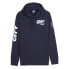 Фото #1 товара PUMA Manchester City Ftblicons Hoodie