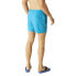 Фото #2 товара REGATTA Mawson III Swimming Shorts
