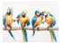 Фото #1 товара Acrylbild handgemalt Parrot Party