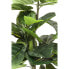 Deko Pflanze Fiddle Leaf